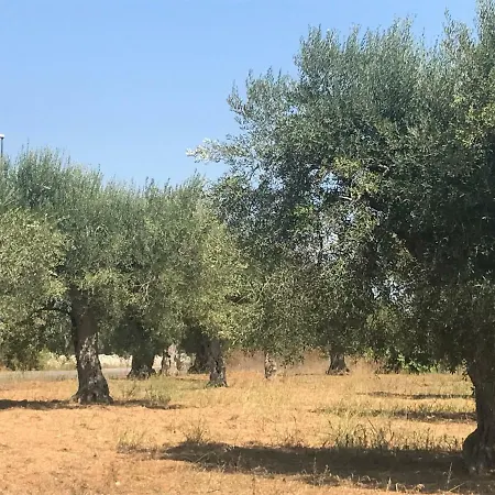 Holiday home Casette Nel Borgo *