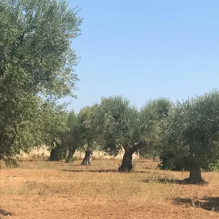 Holiday home Casette Nel Borgo Borgagne