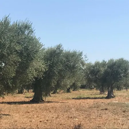 Casette Nel Borgo Ferienhaus