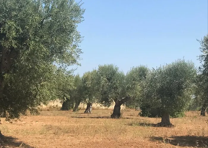 בית נופש Casette Nel Borgo בורגאנייה